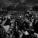 brisbane river stage bw