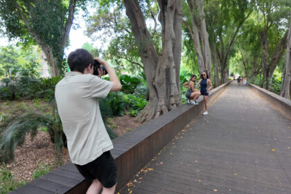 golden shapes header