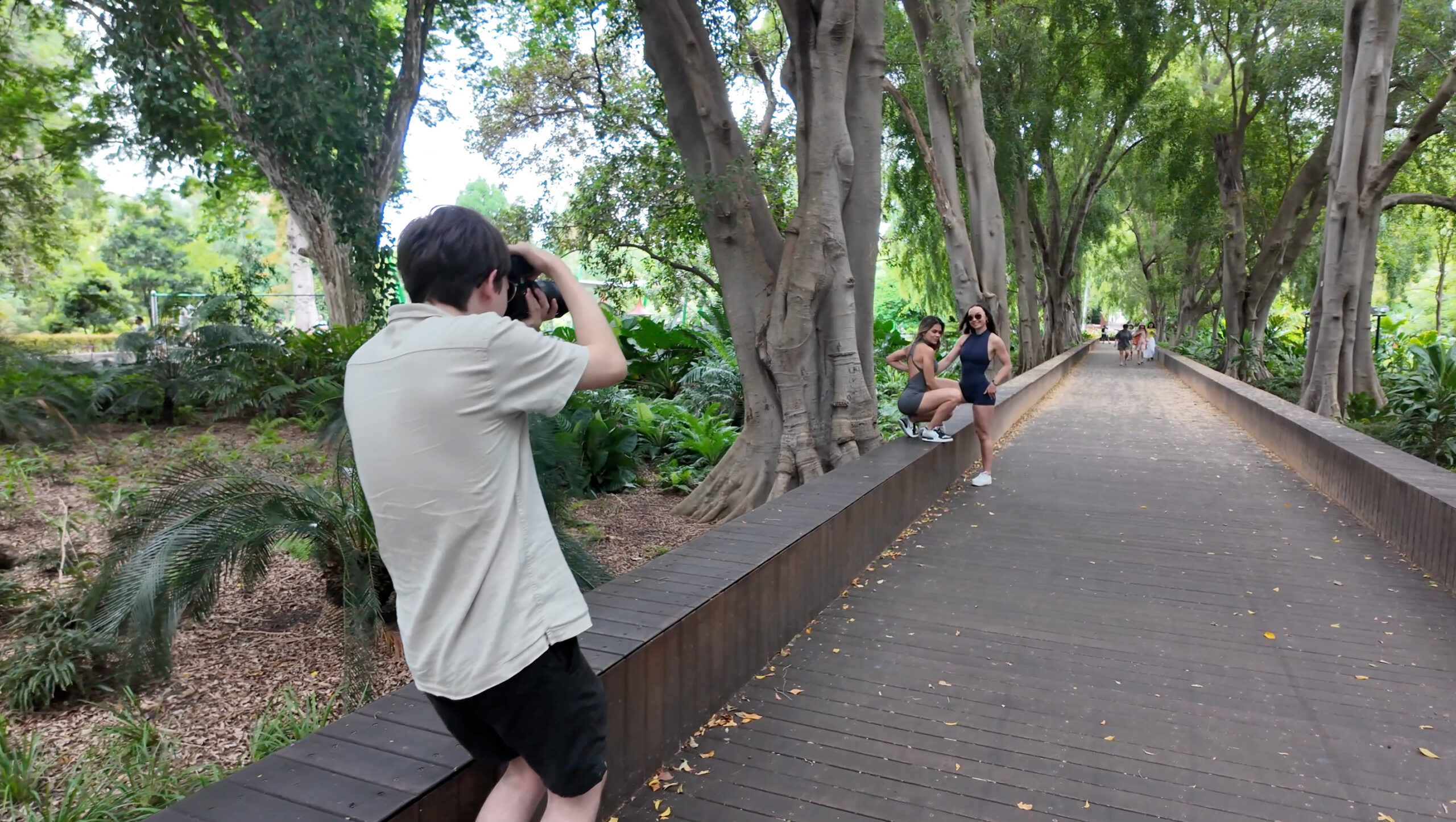 golden shapes header