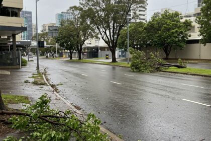 A City in Solidarity as Brisbane Businesses Begin the Recovery brisbane cleanup 1